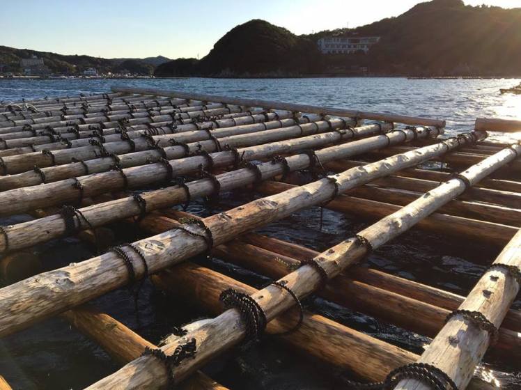 15310244_1201136799964436_842784562_n